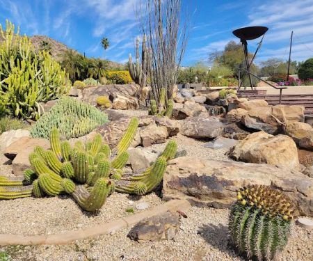 Rita's Cantina & Bar