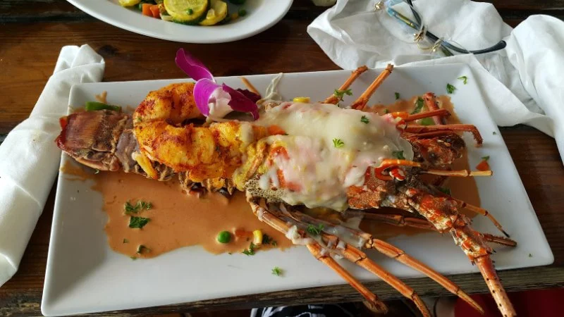 The Best Seafood Bars in Miami for a Casual Yet Delicious Meal