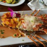 The Best Seafood Bars in Miami for a Casual Yet Delicious Meal