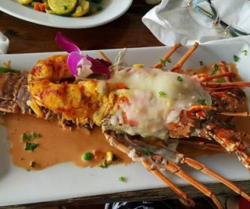 The Best Seafood Bars in Miami for a Casual Yet Delicious Meal