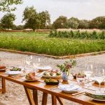 Why You Should Visit a Farm-to-Table Restaurant for a Sustainable Meal