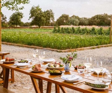 Why You Should Visit a Farm-to-Table Restaurant for a Sustainable Meal