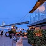 The Best Restaurants with a View in San Francisco
