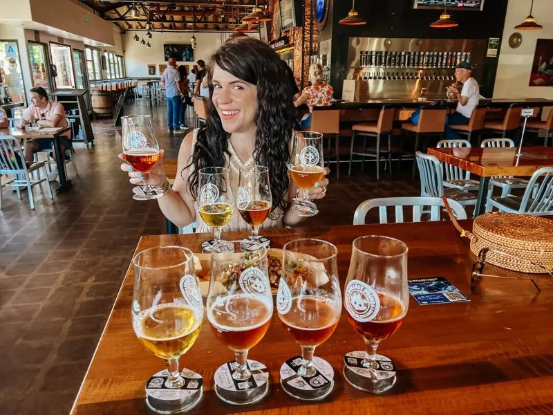 A Guide to the Best Craft Beer Pubs in San Diego
