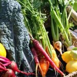 Why Farm-Fresh Ingredients Make Restaurant Food Better