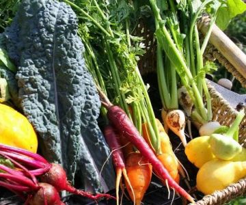 Why Farm-Fresh Ingredients Make Restaurant Food Better