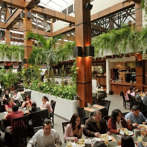 Popular Restaurants in San Jose for Tech Crowd Dining