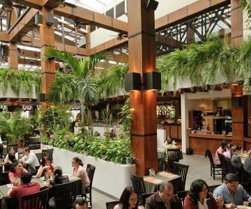 Popular Restaurants in San Jose for Tech Crowd Dining