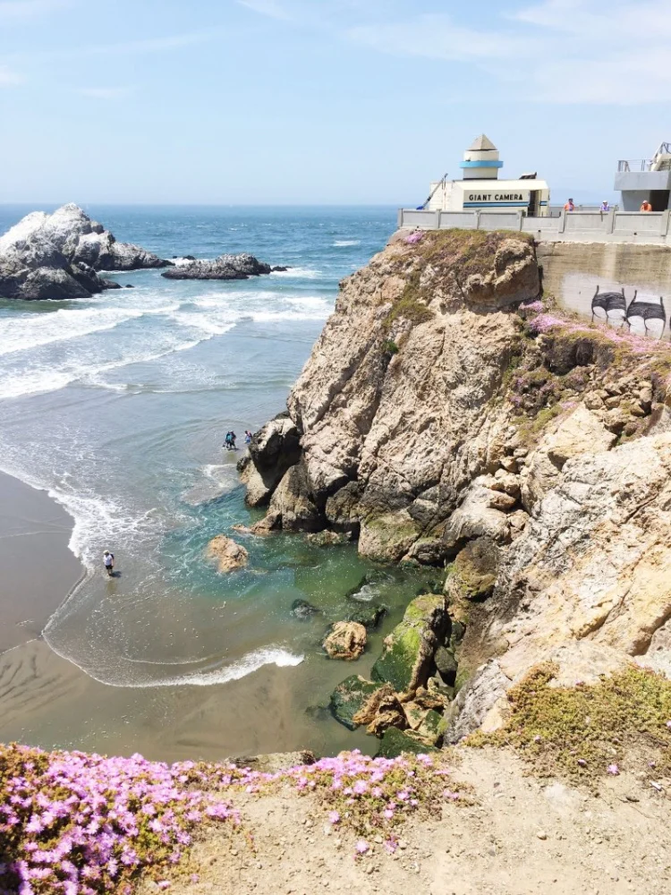 Don’t Miss These Hidden Gems in San Francisco | Restaurants Explorer