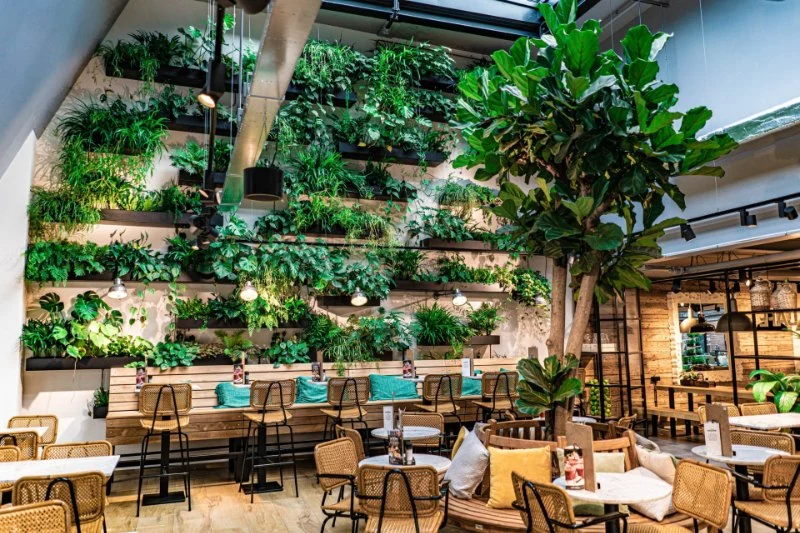 Unique Dining Concepts That Are Trending in the US