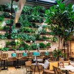 Unique Dining Concepts That Are Trending in the US