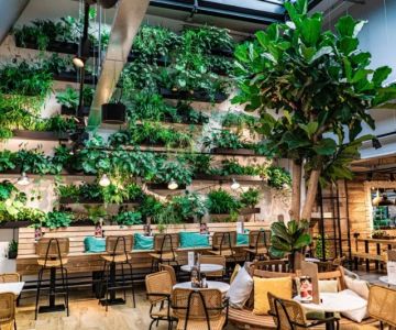 Unique Dining Concepts That Are Trending in the US