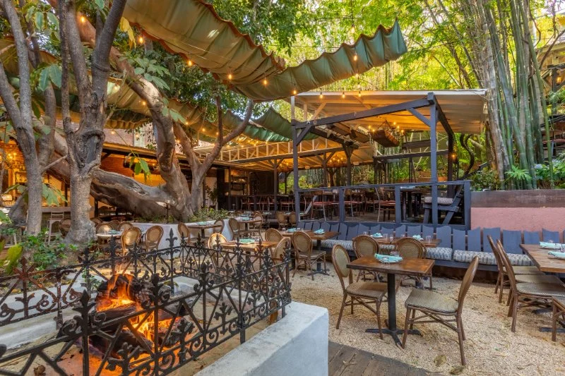Don’t Miss These Hidden Dining Spots in Los Angeles