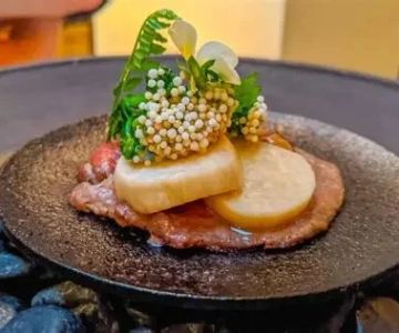 What to Expect When Dining at a Michelin Star Restaurant Experience Guide
