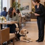 Restaurant Service Animal: Access, Seating, and Handler